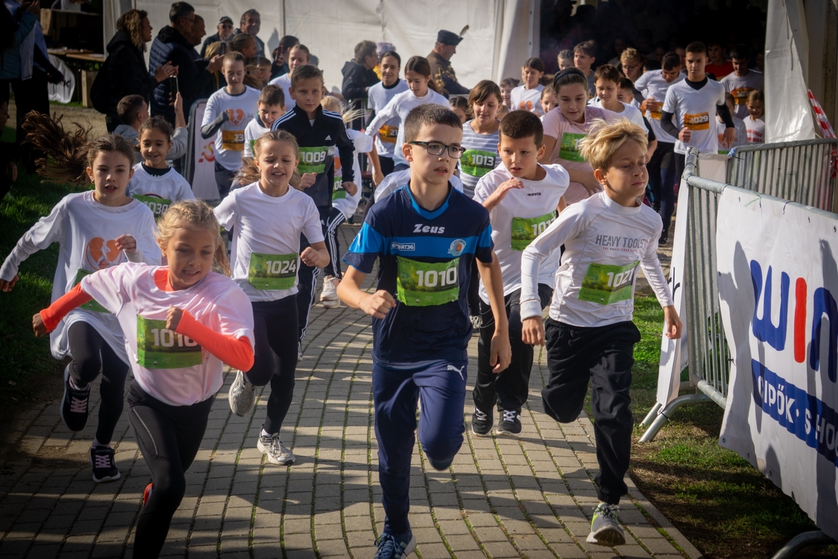 Wink-Intretech KapuvárRun 2026